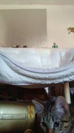 Starsquirt79 webcam cam4 model stream image