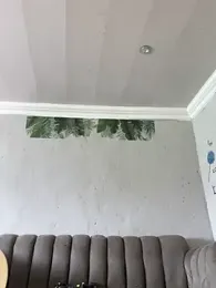 DiamondGoddes webcam model stream image