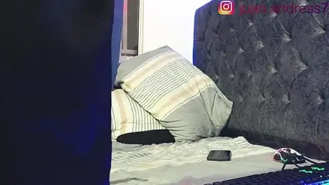 Stone_grey1_ webcam model stream image