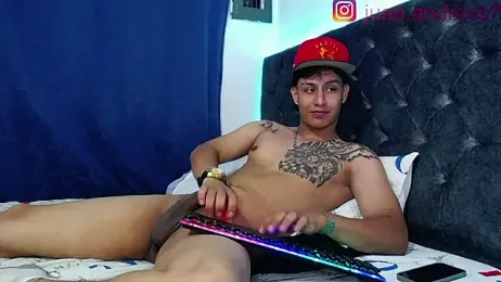 Stone_grey1_ webcam model stream image