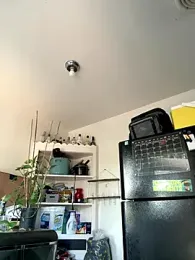 mandjpuff2 webcam model stream image
