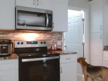 dazeydo webcam model stream image