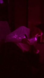 physicssexpert webcam model stream image