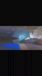 italianbros4 webcam model stream image