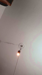 bossandbanny webcam model stream image
