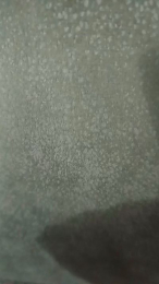 xxxLeilaxxx webcam model stream image