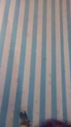 chicassafico2 webcam model stream image