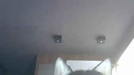 SkinnyKitten webcam model stream image