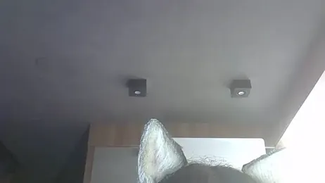 SkinnyKitten webcam model stream image