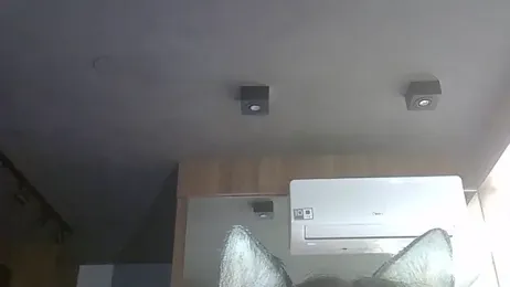 SkinnyKitten webcam model stream image