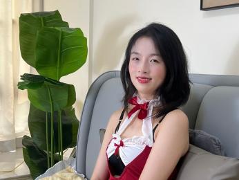 Holiland webcam model stream image