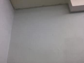 animeboygirls webcam model stream image