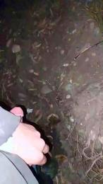 pollypeach webcam cam4 model stream image