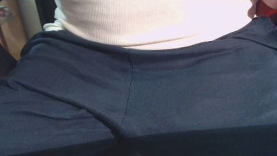 Linienpiilot webcam model stream image