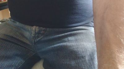 Linienpiilot webcam model stream image