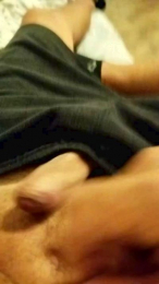 Porcellinii webcam model stream image