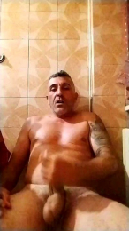 Porcellinii webcam model stream image