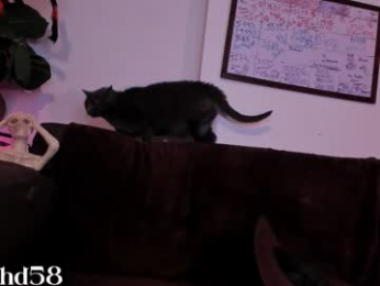 darknes_lilith18 webcam model stream image