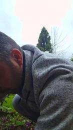 Chlorophytum webcam model stream image