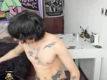 sai_l webcam model stream image