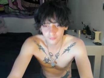 sai_l webcam model stream image