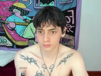 sai_l webcam model stream image