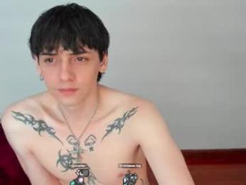 sai_l webcam model stream image