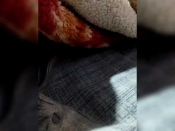 Indian-Couple webcam bongacams model stream image