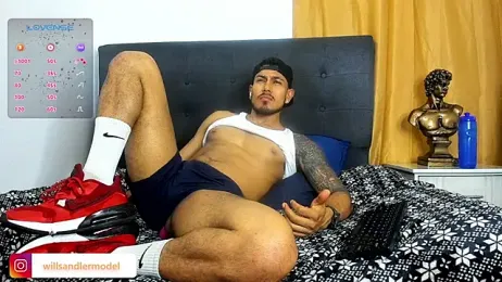 WillSandler webcam model stream image