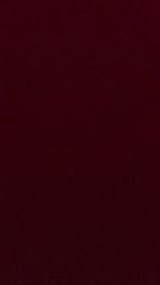 geiver2 webcam model stream image