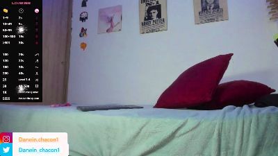 Gaelvillada webcam model stream image