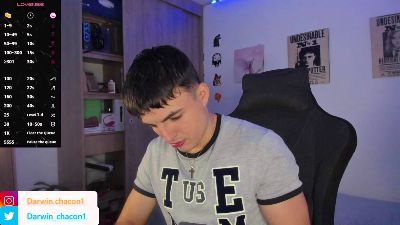 Gaelvillada webcam model stream image