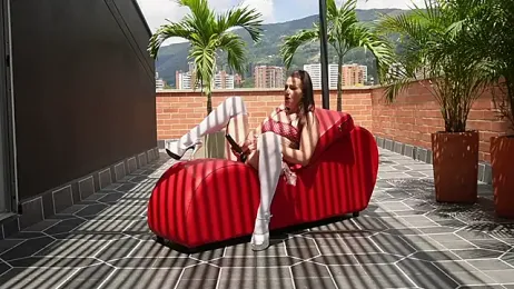 RhiCon webcam model stream image