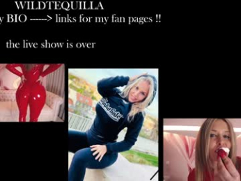 wildtequilla webcam model stream image