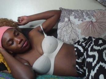 BBQ-Fluid webcam model stream image