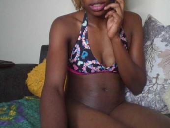 BBQ-Fluid webcam model stream image