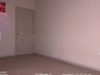 petitebrat webcam model stream image