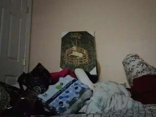 hailzeffn webcam model stream image