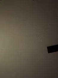 ClumsyLink webcam model stream image