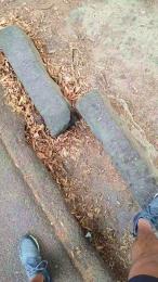 minex2 webcam model stream image