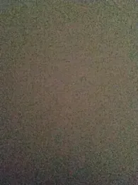 LeoMaduroSP webcam stripchat model stream image