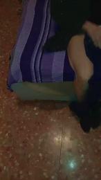 noicoppia71 webcam model stream image