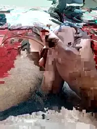 Shekoooooooo9oooo webcam stripchat model stream image