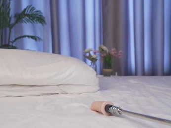 Karollovea webcam model stream image