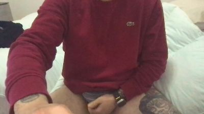 Andyeltoro webcam model stream image