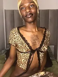 Trans_fairy webcam model stream image