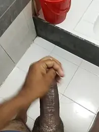 8inchhere webcam model stream image