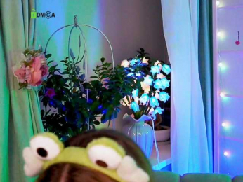 -ANN webcam model stream image