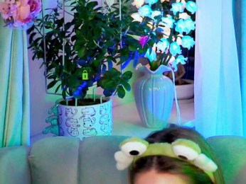 -ANN webcam model stream image