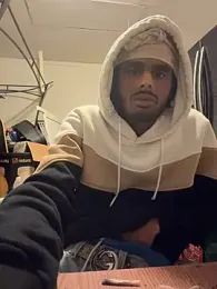 dingoding webcam model stream image